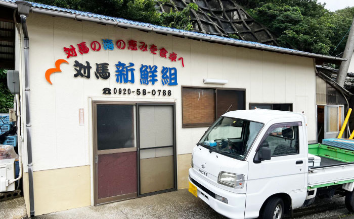 真珠貝の貝柱 300g 《対馬市》 【対馬新鮮組】 肉厚 貝柱 下処理済 貝 新鮮 特産品 冷凍配送 [WCS014]