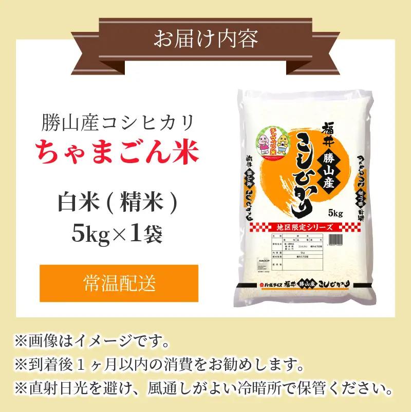 米 コシヒカリ 勝山産 ちゃまごん米 5kg 精米 [A-010004]
