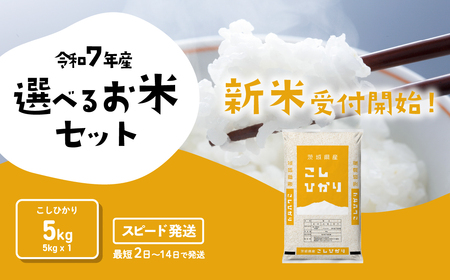 米 新米 5kg 令和7年産 コシヒカリ 5kg