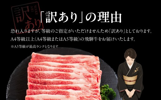 【飛騨牛 A4・A5等級保障！】2月中にお届け！すき焼き用 スライス肉 1kg 牛肉 肉 おにく 牛肉 肉 焼肉 牛肉 訳あり 商品 飛騨牛 牛肉 不揃い 小分け 飛騨牛 牛肉 牛肉 飛騨牛 すき焼き