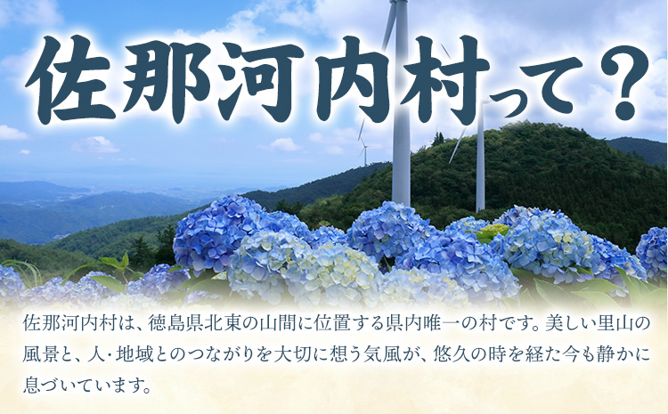 『訳あり』生しいたけ 200g×3袋(サイズ混合) ※離島不可 一般財団法人さなごうち 《90日以内に出荷予定(土日祝除く)》│ しいたけ 椎茸 シイタケ 生 大ぶり 食べ応え 厚い しいたけ 訳あり