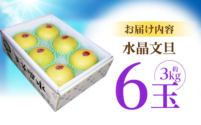 南国土佐の女王柑橘 水晶文旦 約3kg 6玉入り ぶんたん 文旦 フルーツ 高知名物 果物〈2024年9月～発送〉 【フルーツシ