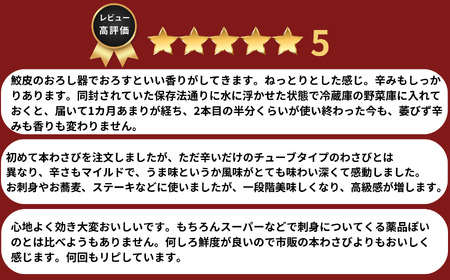 【3回定期便】「真妻わさび」本わさび Mサイズ 2本セット 約160g×3回 計480g SKフロンティア 糸魚川 生わさび ワサビ 新潟県 山葵 お刺身 薬味 そば お蕎麦 風味 お刺身 絶品 味わ