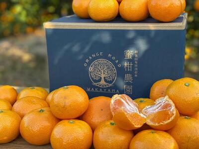 和歌山県産 有田みかん 大粒サイズ 2.5kg 【先行予約】