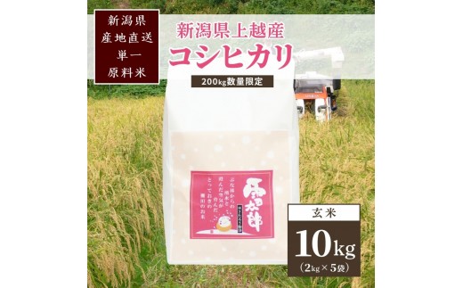 【数量限定】令和8年/新潟上越産「標高480mの山間地で育てた棚田米コシヒカリ」玄米10kg 雪太郎の郷 JCCソフト