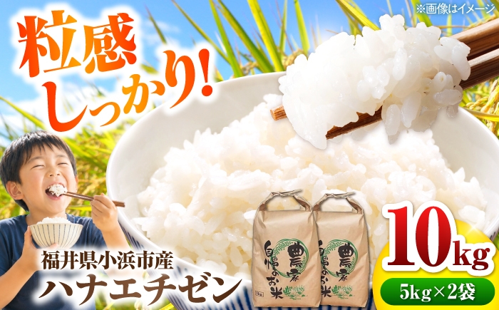 
                  【先行予約/9月中旬以降発送】【令和8年産】小浜のハナエチゼン 米 10kg（5kg×2袋）お米 こめ はなえちぜん 福井県 新米 / 市左衛門米屋 小浜市 [BFEN002]
                