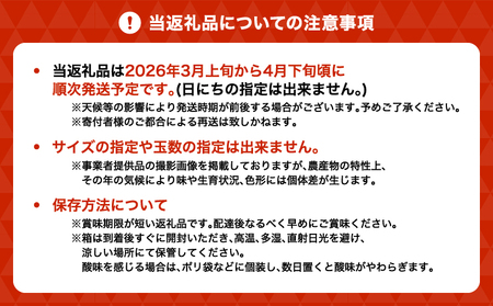 雑誌「MORE」掲載商品 不知火 5kg 【松川果樹園】【2025年3月上旬から4月下旬発送予定】しらぬい 柑橘