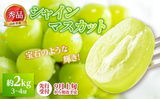 《先行受付》★シャインマスカット★ 約2kg（3～4房）秀品【2025年9月上旬頃～発送予定】 【063-004】