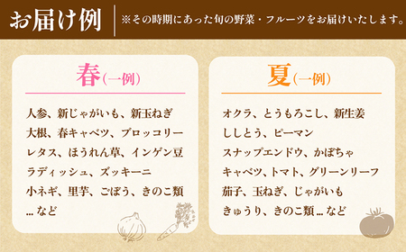 【6回定期便】毎月連続　「旬の野菜・フルーツ」 詰め合わせ セット（13品～15品）/ 野菜 定期便 やさい 定期便 野菜セット やさいセット 春野菜 夏野菜 秋野菜 冬野菜 旬新鮮 / 南島原市 /