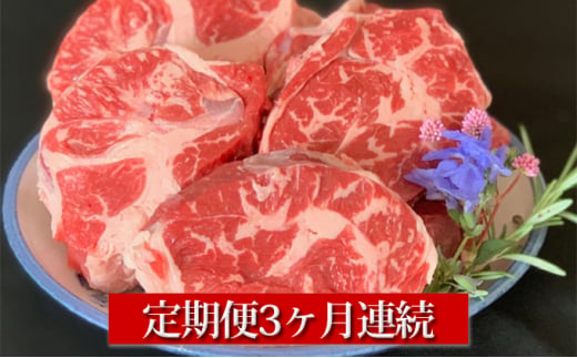 【定期便】常陸牛すね肉500g×2　3ヶ月連続お届け