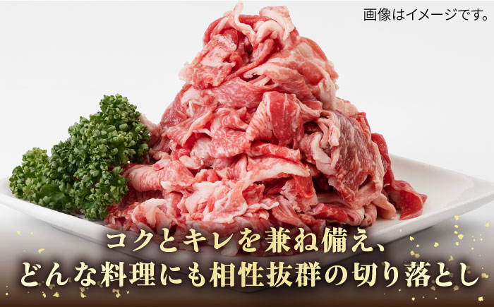 【全3回定期便】《A4〜A5ランク》壱岐牛切り落とし 500g [JBO062] 肉 牛肉 切落し すき焼き しゃぶしゃぶ 鍋 うす切り 細切れ 赤身 定期便 33000 33000円