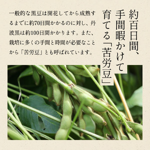 月間ランキング入り！【先行予約】丹波黒枝豆 濃厚 500g×2袋 晩摘み 枝豆  [CU11]
