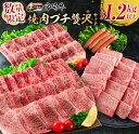 【ふるさと納税】数量限定 宮崎牛 焼肉 プチ 贅沢 セット 合計1.2kg以上 牛肉 ウデ モモ バラ 粗挽き ウインナー 黒毛和牛 ミヤチク 国産 ブランド牛 おかず 食品 BBQ 鉄板焼き 高級 ご褒美 お祝 記念日 ギフト 贈り物 プレゼント お取り寄せ グルメ 宮崎県 日南市 送料無料