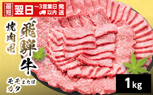 
                  【発送時期が選べる】 飛騨牛 モモまたはカタ 焼肉用 赤身 1kg 岐阜県産 詰め合わせ 黒毛和牛 もも かた 赤身 牛肉 牛 国産 お取り寄せ 自宅用 和牛 最短発送 養老ミート
                