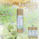 【ふるさと納税】【Nature Plants Skin Care】リップバームスティック　5ml×3本 | 天然素材 手作り スキンケア 美容 美 守本理恵 天然 自然 メイクアップアーティスト メイク モデル 無添加 自然派 美白 沖縄 海 オイル オーガニック オーガニックオイル