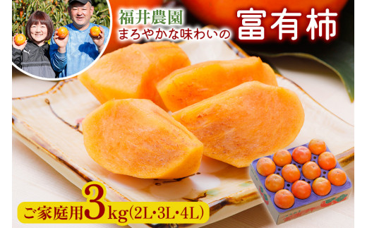 [先行予約／令和7年産]《柿の王様》福井農園の富有柿 ご家庭用 3kg (10～12個入) 2L、3L、4Lサイズ  [11月～12月に発送予定] 有機質の多い独自肥料で栽培、まろやかな味わいの富有柿 [mt238]  