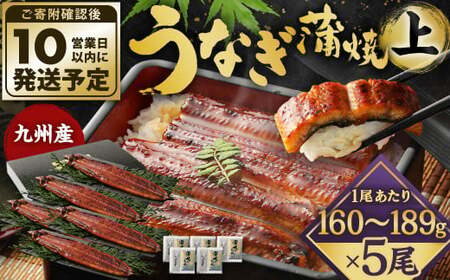 九州産 うなぎ 蒲焼 上 5尾 (1尾あたり160～189g)【順次発送】