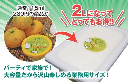 アイスクリーム 業務用 2L 高知県産 柚子 シャーベット ゆず ご当地アイス あっさり 爽やか 須崎市 ( アイス シャーベット 高知 アイス ゆず シャーベット アイス 柚子 アイス シャーベット