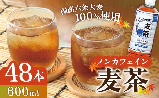 【 スピード発送 】ノンカフェイン 麦茶 600ml×24本×2ケース 国産六条大麦100％使用 | お茶 茶 むぎちゃ 麦茶 ペットボトル 静岡県 小山町 麦茶