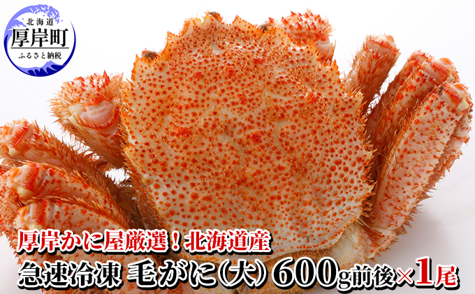 厚岸かに屋厳選！北海道産　急速冷凍 毛がに（大）600g前後