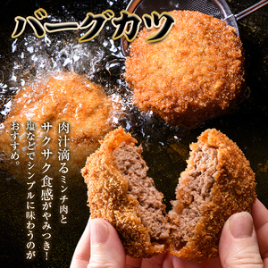 老舗西山の選べる惣菜セット2F ハンバーグ100ｇ×10、バーグカツ50ｇ×10個 ご当地 グルメ 食品 四国  F5J-183