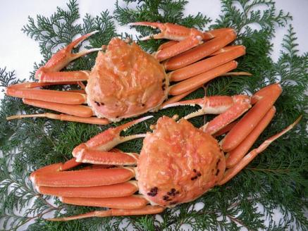 87．【先行予約】鳥取県産　訳あり浜茹で松葉がに　2～3枚で1.2ｋｇ以上（1～4本足落ち）