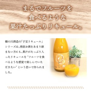 SZ0139　酒田の酒屋厳選　子宝リキュール 番外編マンゴー　720ml×1本