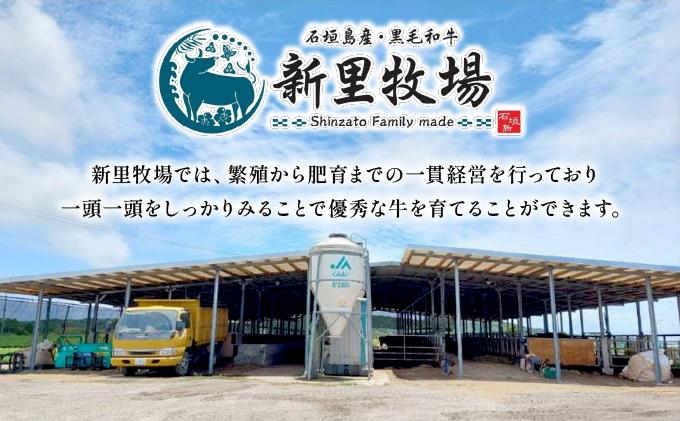 石垣島産黒毛和牛 新里牛 極希少！焼肉 ハツ (200ｇ×2) 合計400g | 和牛 黒毛和牛 ハツ 石垣