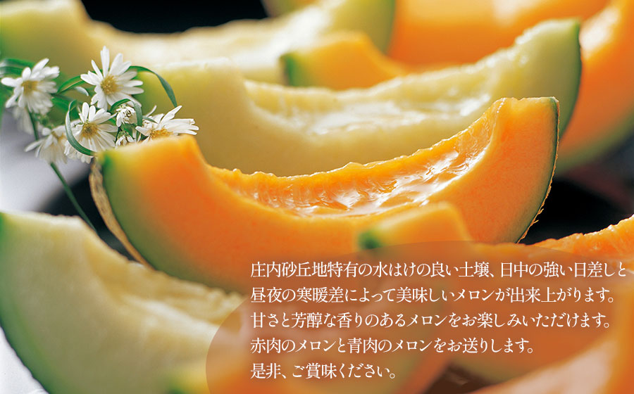 【令和8年産先行予約】泉屋商店の庄内砂丘メロン 赤肉・青肉 食べ比べセット 2玉（各1玉入）　K-822