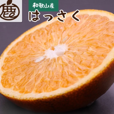 厳選 はっさく5kg+250g(傷み補償分)【八朔みかん】【光センサー選別】【配送不可地域：離島・北海道・沖縄】【1646068】