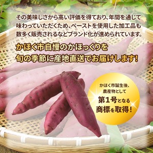【先行予約】かほっくり 5kg （1箱）  |  さつまいも さつまいも