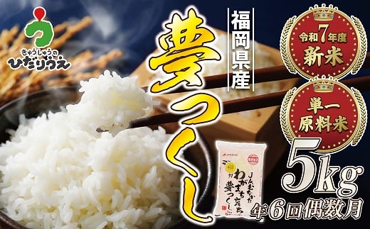 
            【米定期便】【年6回偶数月】【2026年2月発送開始】JAよりお届け！福岡県ブランド米「夢つくし」 5kg（5kg×1袋）×6回 計30kg[G5042]
          