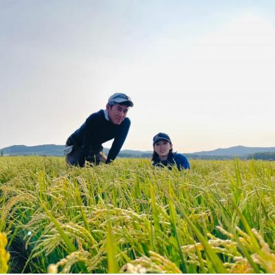 ふるさと納税 鷹栖町 【令和7年産】 真空パック ゆめぴりか・ななつぼし無洗米 各5kg　計10kgセット SA183 |  | 02
