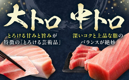 対馬産 生 本マグロ 500g （赤身、中トロ、大トロ）まぐろ トロ 刺身 [WAH025] マグロ まぐろ 本マグロ