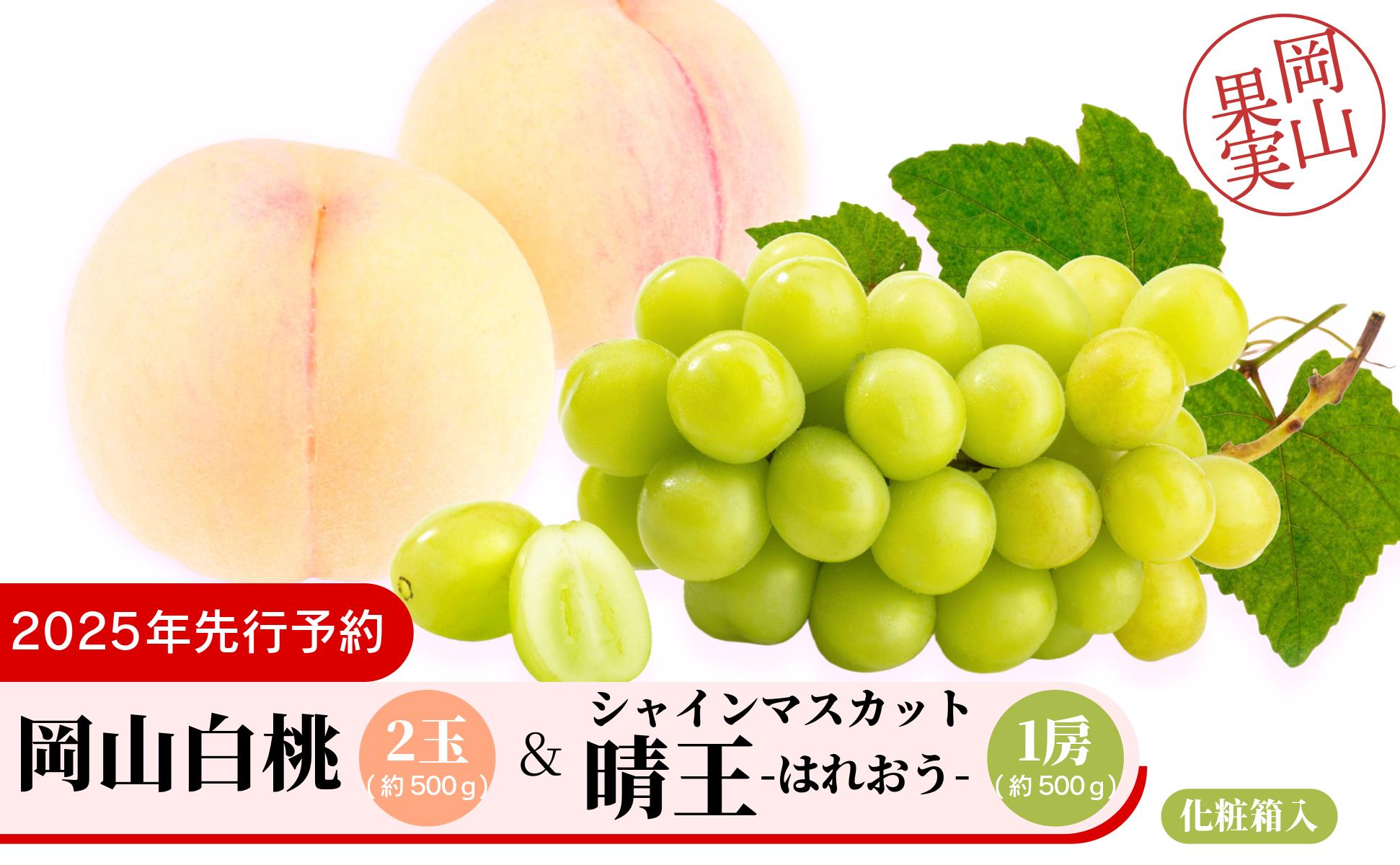 岡山白桃2玉（約500ｇ）＆シャインマスカット晴王1房（約500ｇ）化粧箱入