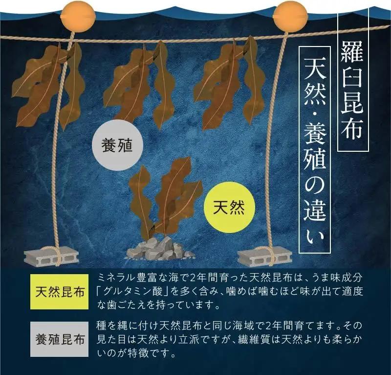 【ふるなびWEEK対象】訳あり 北海道知床羅臼産昆布 天然 花折昆布400g前後(2枚入り×3) 訳あり だし 和食