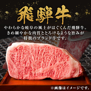 【A5等級】 飛騨牛 モモ・カタ すき焼き・しゃぶしゃぶ用 約600g【飛騨牛 肉 牛肉 赤身】