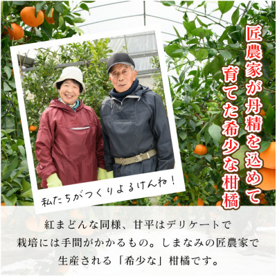 4L～2L 8～12玉、1月中旬～2月に発送【先行受付】高級柑橘 甘平 (化粧箱入)【C64】