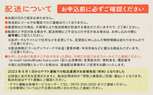 【限定20セット】今帰仁マンゴー「匠」2kg【2025年7月～8月上