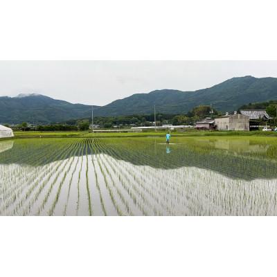 ふるさと納税 石岡市 【令和7年産】獅子米 ミルキークイーン 玄米 30kg |  | 02