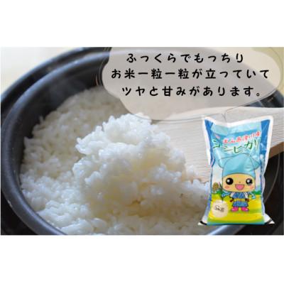 ふるさと納税 滑川市 滑川産コシヒカリ(令和7年産新米/精米)20kg |  | 01