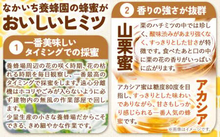 九戸の山栗蜜・アカシア 天然はちみつセット 265g×2本 中一養蜂園 岩手県九戸村