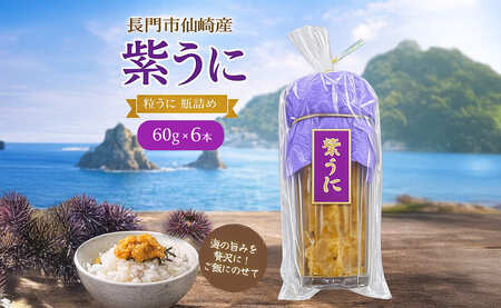 (1616) 瓶詰めウニ 天然 ムラサキウニ 最高級 6本セット 60g×6本 合計360g 長門市