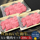 【ふるさと納税】おおいた和牛 ヒレ 焼肉セット 200g×3P 牛肉 和牛 ブランド牛 赤身肉 焼き肉 焼肉 バーベキュー 大分県産 九州産 津久見市 国産 送料無料