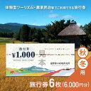 【ふるさと納税】旅行券 6,000円 旅の産地直売所 秋冬用 岩手県 遠野市 クーポン ツアー 国内 旅行 観光 ホテル 宿泊 食事 ギフト 紙券 体験 アクティビティ チケット 農家 民宿 民泊 旅 産直 まちあるき まちぶら さとぶら グリーン ツーリズム