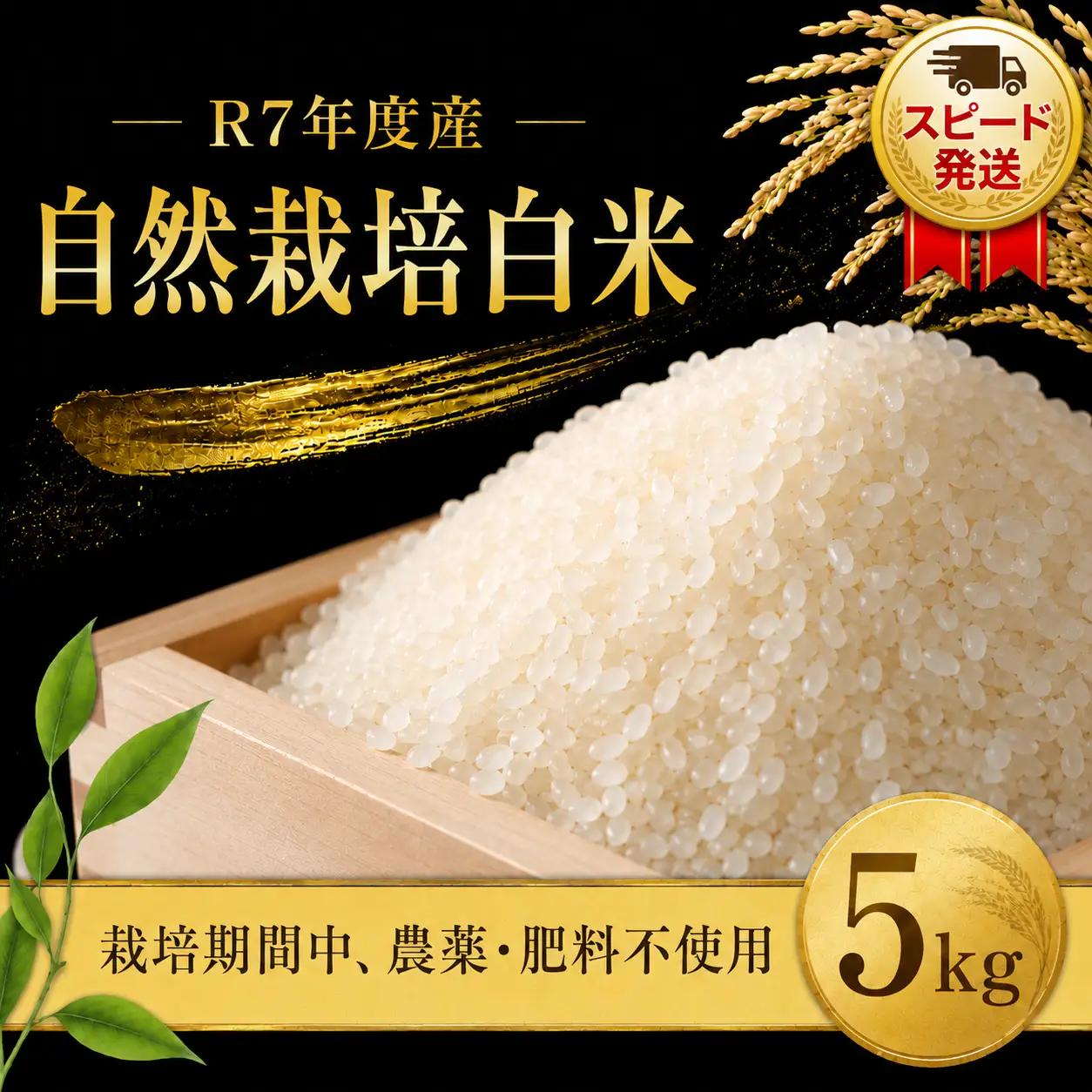 自然米 5kg 白米 自然栽培米 令和7年産 R7年産 まこと屋 千葉県 香取市 MKT007_R7