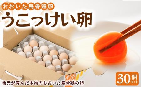 大分うこっけい卵（生食用３０個） | 卵 烏骨鶏 卵 烏骨鶏 卵 烏骨鶏 卵 烏骨鶏 卵 烏骨鶏
