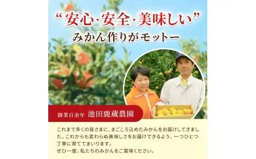 鹿蔵 プレミアム 有田 みかん 5kg+250g（傷み補償分）(完熟) / 温州みかん 有田みかん 光センサー 選別 甘い 和歌山 柑橘 ※2026年10月上旬～11月中旬頃に順次発送予定 ※北海道・