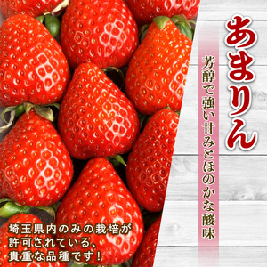 【予約】 あまりん べにたま 希少いちご 食べ比べ セット 500g いちご 苺 ロコファーム 埼玉県