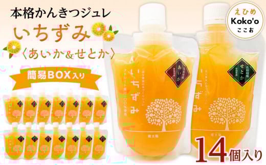 かんきつジュレ「いちずみ」バラエティセット＜あいか＆せとか入り＞　14個入り | ゼリー 柑橘ゼリー 柑橘ジュレ みかん スイーツ 温州みかん あいか 愛果28号 せとか 清見 デコポン 美生柑 伊予柑 はるみ 愛媛県 松山市 ココオ Koko'o